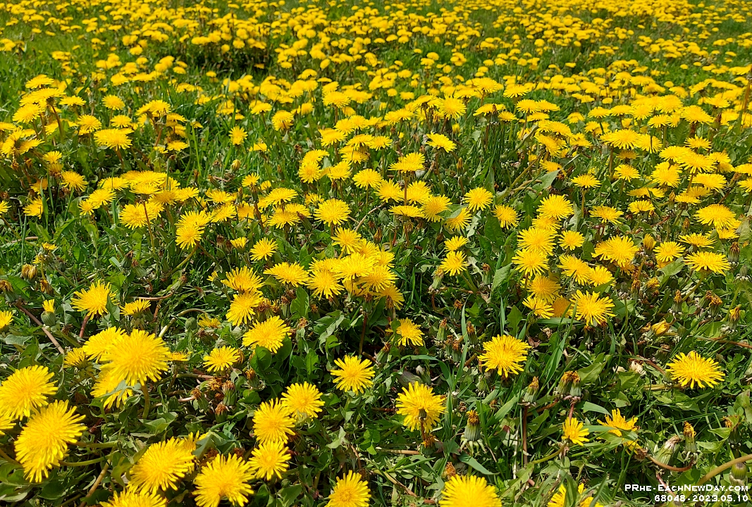 68048CrLeNrUsm  - A lovely lunchtime walk - Anticipation